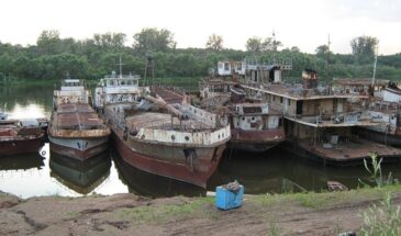 Минсельхоз надеется, что реки потекут вспять: надежды на речные перевозки – не более чем фантазии