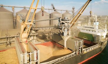 Россия использует рекордный экспорт пшеницы, чтобы задавать тон в мировой торговле зерном