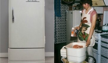 Простые вещи, потеряв которые, мы обнаружили — Советским Союзом управляли не дураки