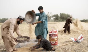 Конец российской деревни: на русские поля хотят завести работников из Афганистана