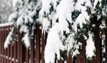 Холодный дом к выходным ? 3 способа согреть дачу за 2 часа — без огромных счетов за отопление