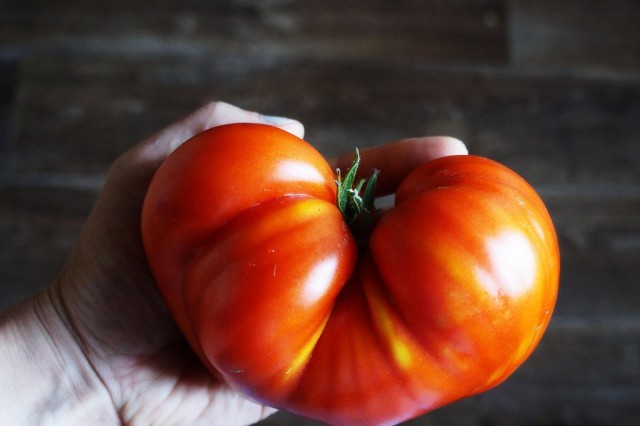 Самые мясистые томаты для теплицы: какие сорта дают «помидорный стейк», а не водянистую кашу