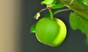 Эти вредители съедят ваш урожай до того, как вы его соберёте: как спасти яблоки за 3 простых шага