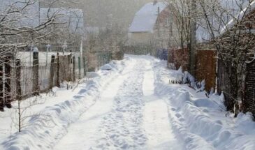 Февральские работы в саду решат урожай летом: что успеть сделать до капели, пока все ещё спят