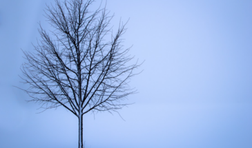 Эти 6 слов убивают любое общение за 3 секунды: психологи назвали фразы, которые вы произносите каждый день, даже не замечая