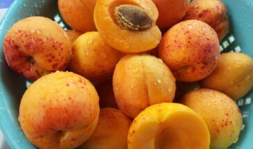 Зимой захотелось лета? Этот пирог с абрикосами вернёт солнце за 40 минут