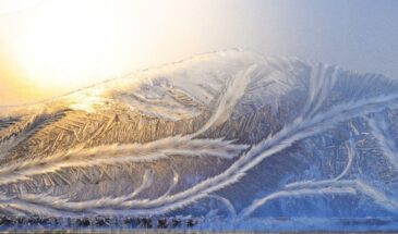 Вороны закружили над головой? Ждите лютых морозов: что сулит Афанасьев день 31 января