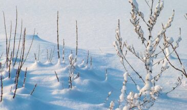 Этот день решит вашу судьбу на год вперед: 7 запретов 28 января в Павлов день, которые нельзя нарушать