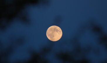 Снежная Луна 1 февраля: что ни в коем случае нельзя делать в самую яркую ночь года