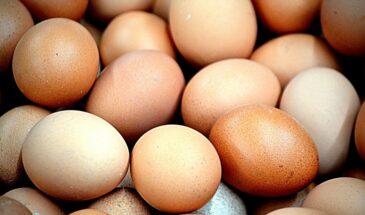 Почему работники птицефабрик не берут яйца «отборные» — и какие берут вместо них