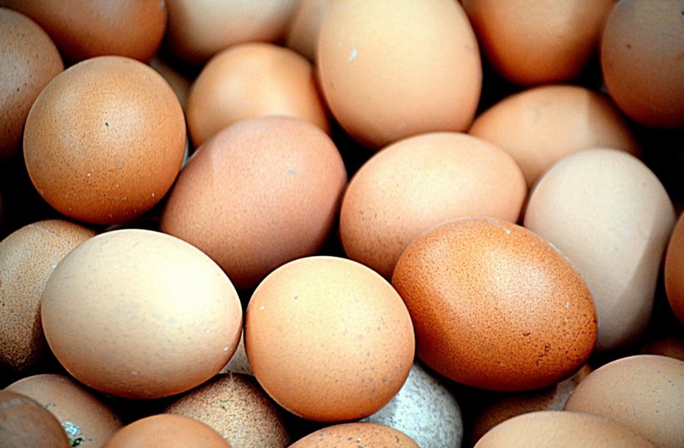 Почему работники птицефабрик не берут яйца «отборные» — и какие берут вместо них