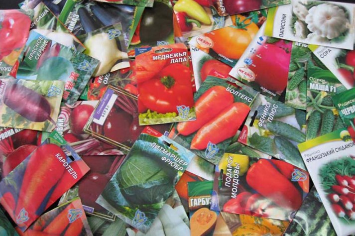 Эти буквы на пакетике с семенами решат, будет ли у вас урожай или пустая грядка