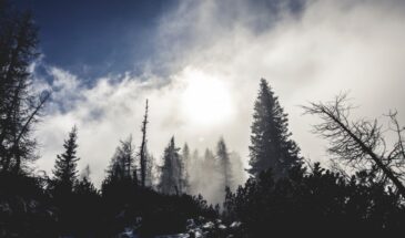 Как не рассердить апостола Петра 29 января: три простых правила, которые оберегут дом от беды