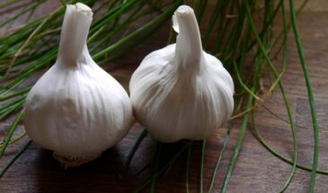 Чеснок вместо таблеток: восточный секрет для желчного пузыря, о котором молчат врачи