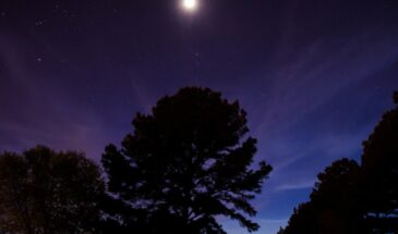 Февраль-2026 под властью планет: астролог раскрыл карту лунных фаз, затмения и ретроградного Меркурия