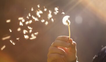 Этих людей вычеркивайте без сожаления: три признака, что вы отдаёте всё, а получаете пустоту