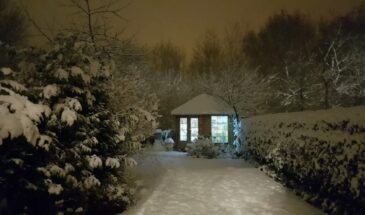 Обычная дача превращается в крепость: простой способ отпугнуть воров без камер и сигнализации!