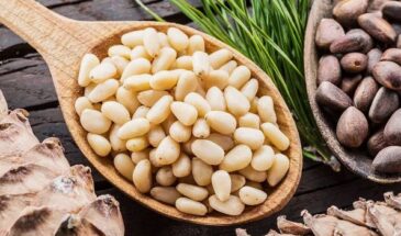 Кедровые орехи — природный контролер аппетита! Как две ложки в день помогают есть меньше и чувствовать себя лучше