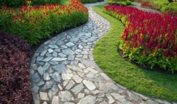 Тропинка, от которой соседи ахнут: какие растения создадут идеальный бордюр без хлопот и сорняков