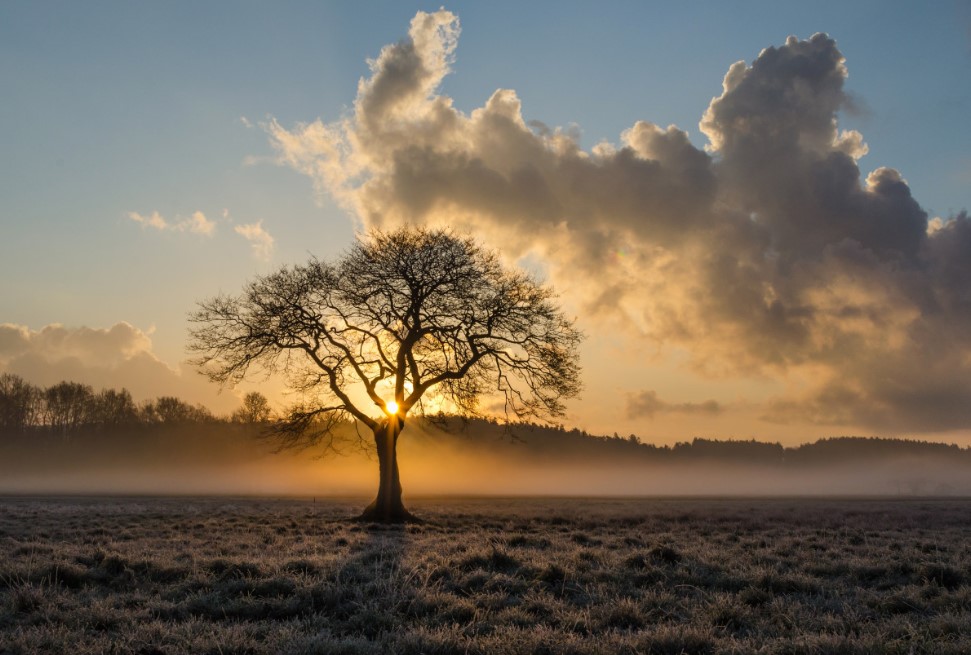 Этими тремя вещами не делится мудрый человек: житейские уроки Омара Хайяма, которые работают и сегодня