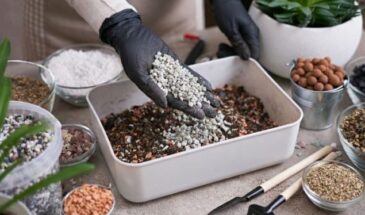 Цеолит в горшке и на грядке: как один минерал оживляет даже самую безнадёжную почву