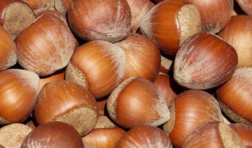 Зачем есть горсть фундука в день: простая привычка, которая укрепляет нервы, кости и сердце