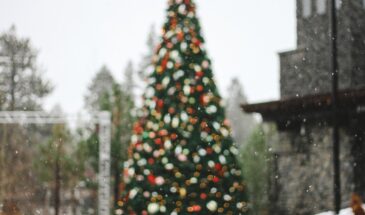 «Начнётся 22 января и будет 220 часов подряд»: синоптики предупредили, к чему готовиться всей России