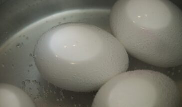 Что кинуть в воду при варке яиц, чтобы скорлупа слетала сама: секрет идеальной очистки за 10 секунд