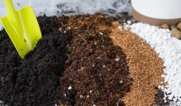 Как ускорить созревание компоста в 2 раза: хитрость с дрожжами, о которой знают только опытные дачники