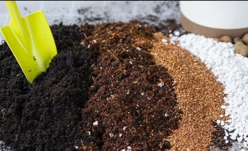 Как ускорить созревание компоста в 2 раза: хитрость с дрожжами, о которой знают только опытные дачники