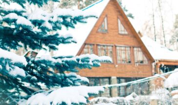 5 глупостей, которые совершают дачники в январе — сам грешил, теперь предупреждаю всех