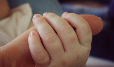 83 000 рублей на ребёнка: кто получит максимальную выплату с февраля 2026 года — и нужно ли подавать заявление заново