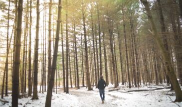 Люди, которые никогда не болеют, делают вот это каждый день — сильнее любого витамина!