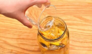 Что дают растениям банановые шкурки? Простая подкормка, о которой молчат цветоводы!