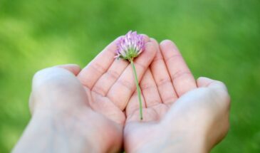 Просыпаюсь с другими руками: ночной трюк, после которого не нужны дорогие кремы — эффект держится даже после мытья