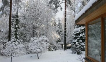 Зачем февраль дачнику? Кто сейчас отдыхает — тот летом останется без урожая!