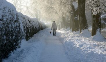 Году старт — зиме размах. Что ждёт Россию в январе 2026 года по долгосрочному прогнозу синоптиков