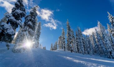 Что нельзя делать 26 января в Ермилов день: народные приметы, связанные с кошками и погодой, которые до сих пор работают