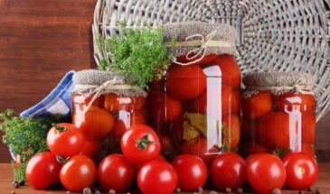 Эти помидоры просто находка: квашу один раз — и забываю до весны. Не взрываются, не плесневеют, не перекисают