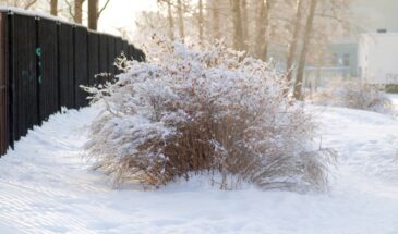 Один мешок — и лёд исчезает за 10 минут: как безопасно и дёшево избавиться от скользких дорожек зимой