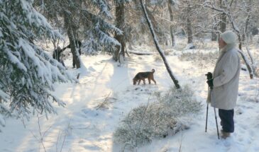 6 желаний, от которых стоит отказаться после 50 лет — не ради строгости, а ради лёгкости и покоя