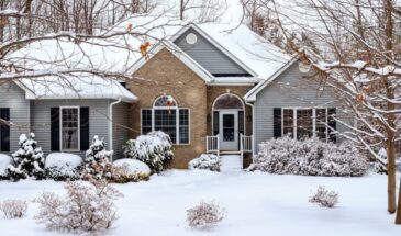 Как защитить деревья от выпревания зимой: три простых правила для садоводов