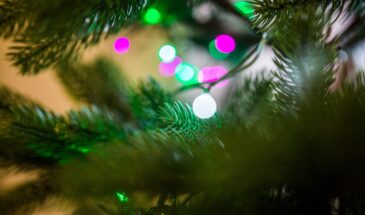 Как сохранить ёлку свежей до конца праздников — простые советы агронома, которые действительно работают