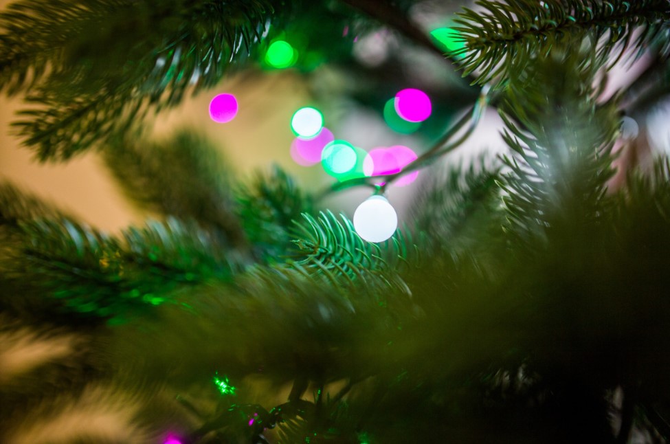 Как сохранить ёлку свежей до конца праздников — простые советы агронома, которые действительно работают