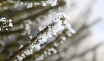 4 января 2026 — день памяти великомученицы Анастасии Узорешительницы: что можно и нельзя делать в предпразднство Рождества