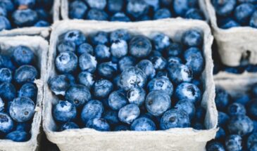 Как подкислить почву для голубики, гортензии и клюквы: 5 безопасных способов — от проверенных до народных