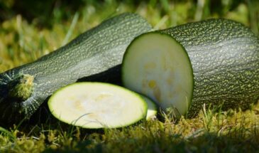 Почему кабачок может отравить: не химия, не грязь — а природная «защита», которая активируется в зимних плодах