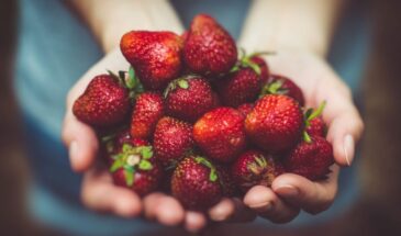 Дайте клубнике соду весной — и ягоды станут крупнее, слаще и здоровее. Простой, проверенный способ без химии