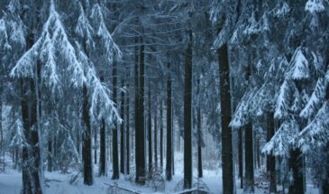 Что нельзя делать 5 января — народные приметы и традиции на Федулов день