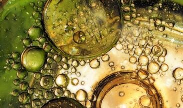 Куда девать отработанное растительное масло — почему его нельзя лить в раковину и как утилизировать правильно